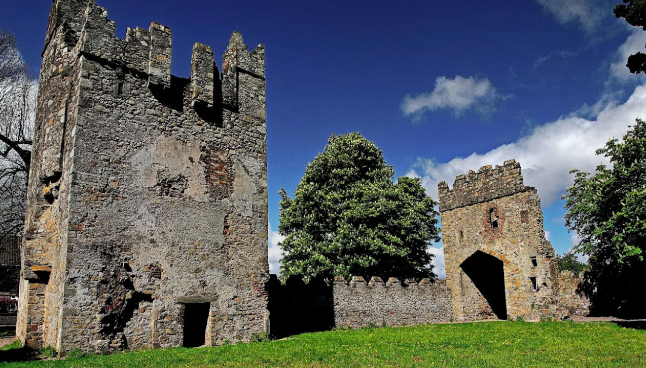 Monkstown Castle, Ireland